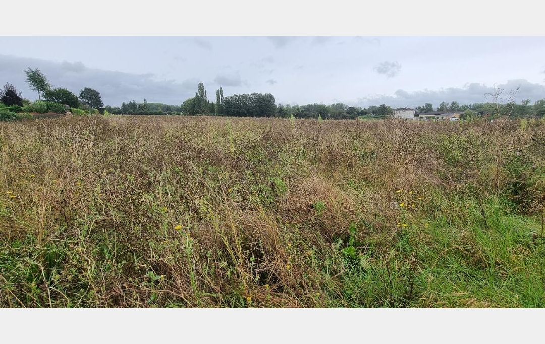 BIEN CHEZ VOUS : Ground | COURLON-SUR-YONNE (89140) | 1 250 m2 | 37 500 € 