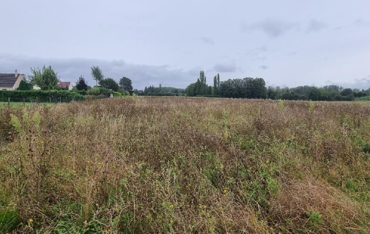 Terrain   COURLON-SUR-YONNE  1 250 m2 37 500 € 