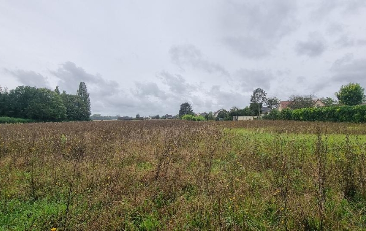 Terrain   COURLON-SUR-YONNE  4 100 m2 37 500 € 